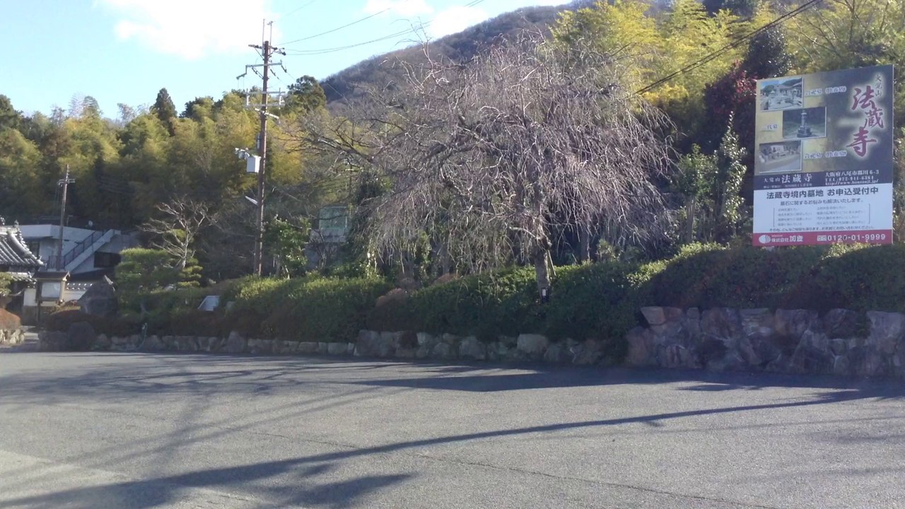 府民の森公園から八尾市を眺める