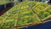 Pakistani Mangoes Jun 25, 2011 Rahim Yar Khan Pakistan