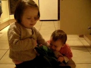 Quand les soeurs se chamaillent.........