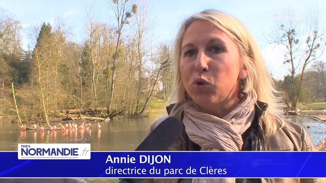 Le reveil de Clères