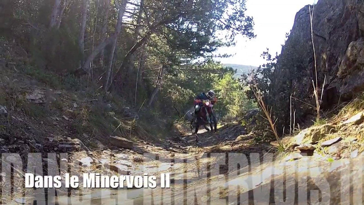 Dans le Minervois II