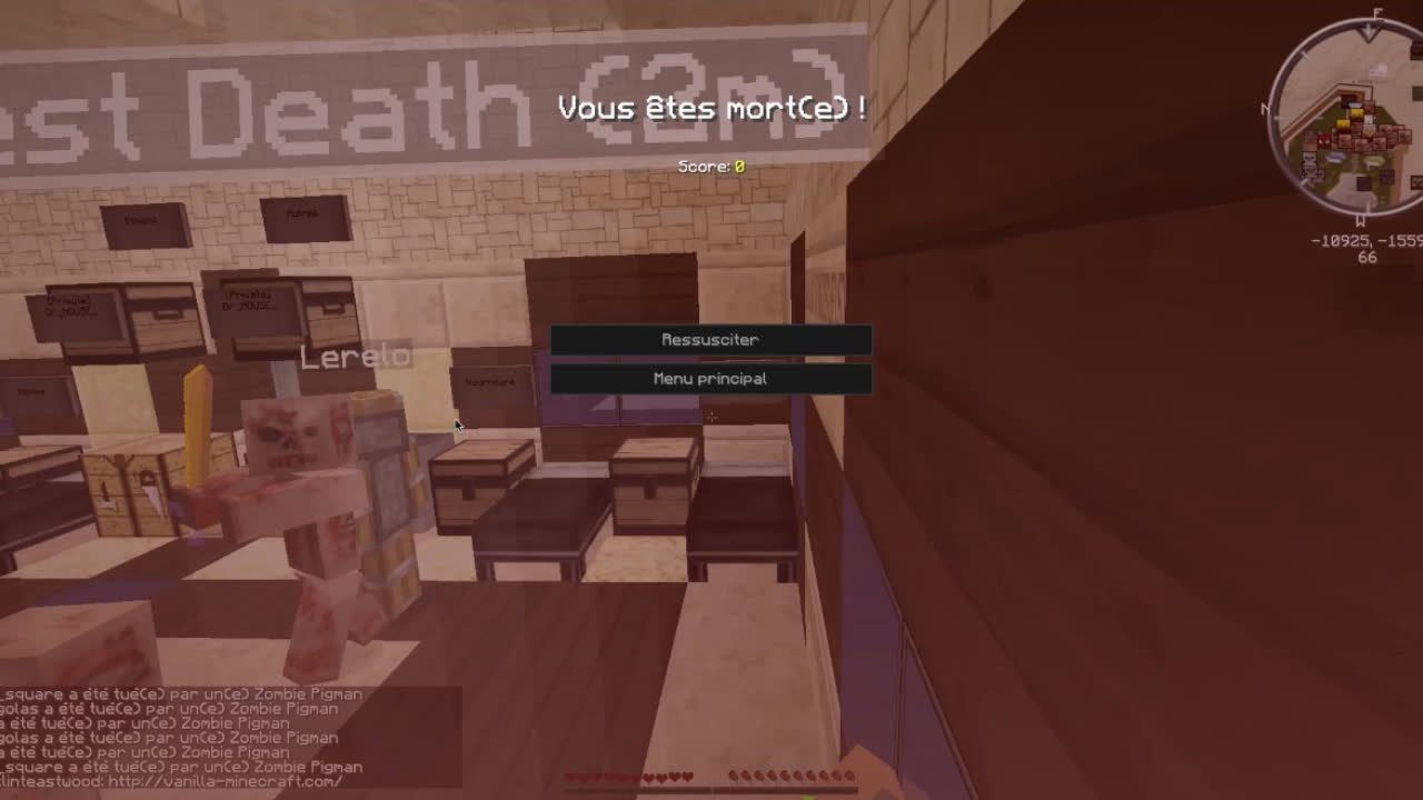 Bievenue sur vanilla minecraft - Les pigmen sont nos amis