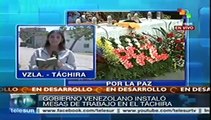 Nutrida participación ciudadana en la Conferencia de Paz del Táchira