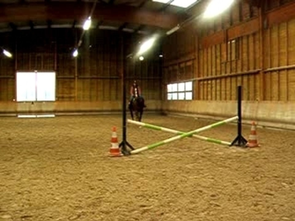 charlotte et maestro