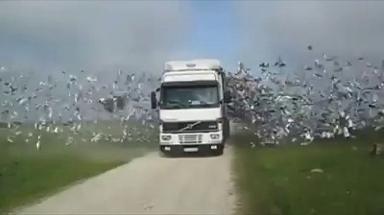 how to do this! This video is to impress ...