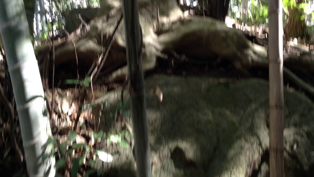 服部川古墳