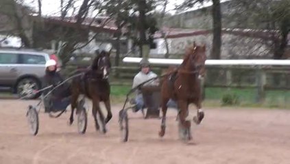 CRACK MONEY ET CARNIVAL DETE EN PISTE