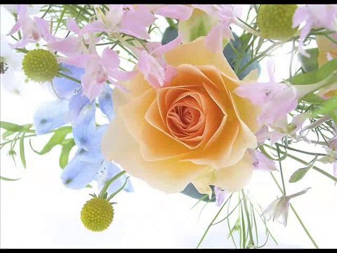 Честит 8-ми Март