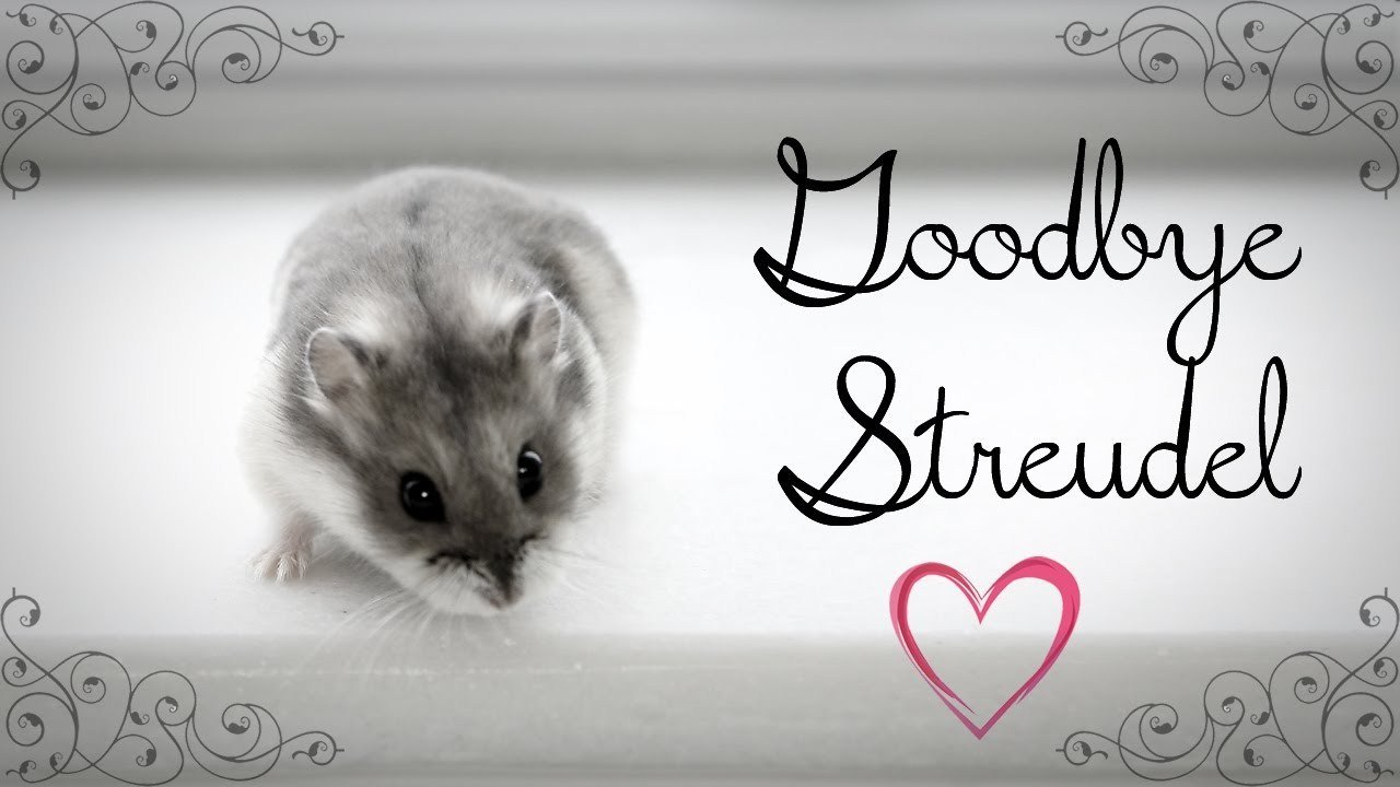 ~ Goodbye Streudel ~