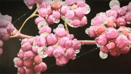 TV3 - 33 recomana - Don Eddy. MEAM. Barcelona.