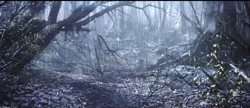 Dark Souls II - Prologue 1 Video