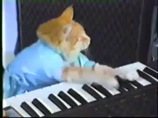 Charlie Schmidt's Keyboard Cat! - THE ORIGINAL!