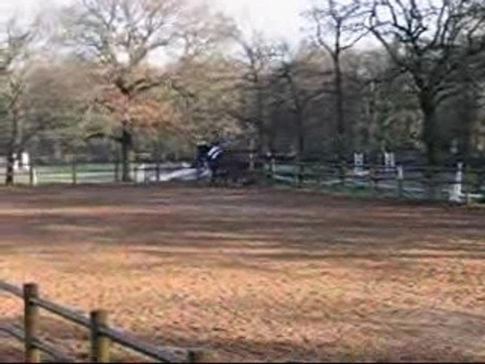 Dressage de Ste Gemme