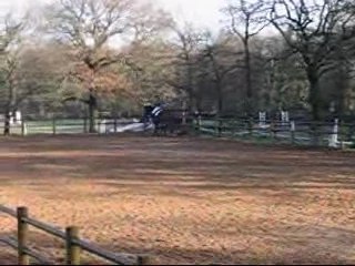 Dressage de Ste Gemme