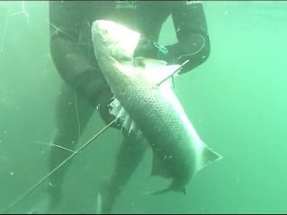 Les Hommes Poisson : Chasse sous-marine