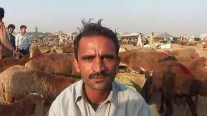 14 Nov 2010 Eid ul Azha Lahore Pakistan