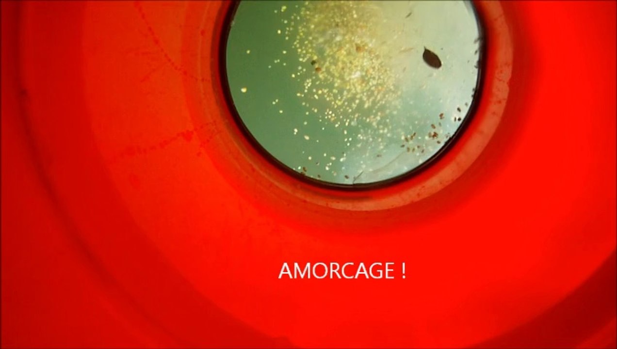 carpe diem II 2eme partie