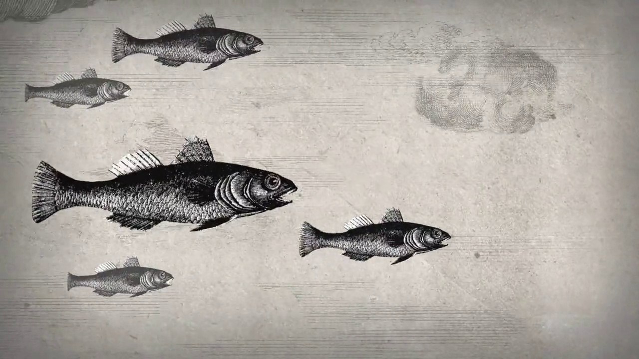 ÆRNEST : Clip "La Trêve"