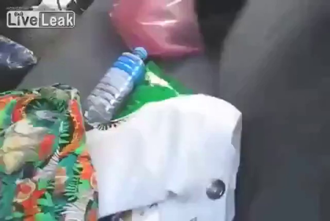 Otter springt in ein Auto und möchte nicht mehr gehen