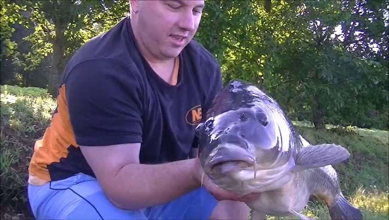 carpe diem II 5eme partie