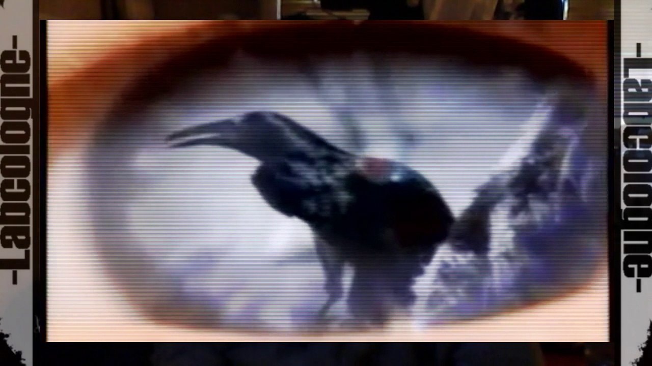 Optimuz - Jetzt Willst Du Meine Liebe