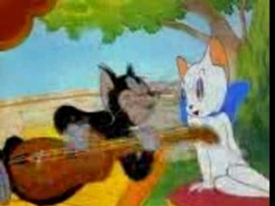 مافي فايده