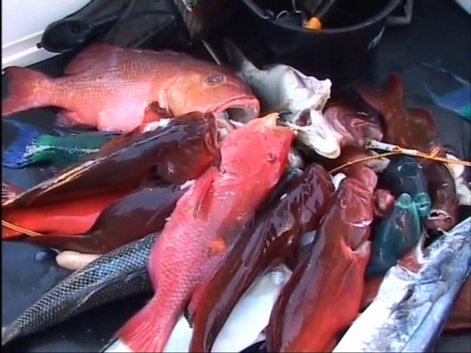 Chasse sous-marine en Nouvelle Caledonie