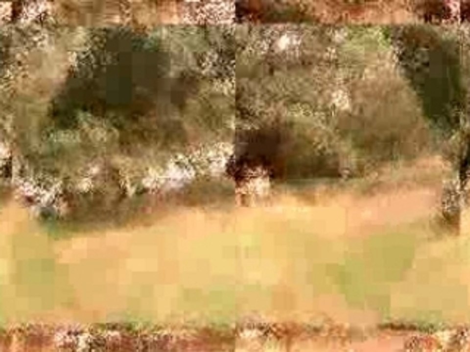 jack et  une partie ses amis