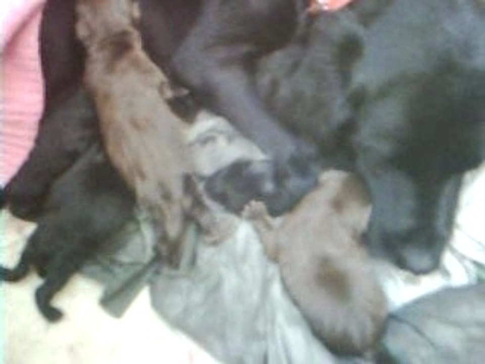 bébés de suzy naissance