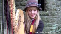 Thème musique de HARRY POTTER à la harpe par des jumelles - Hedwigs Theme, magique!