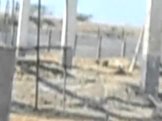 DANISH SHELL 6 MARCH 2014