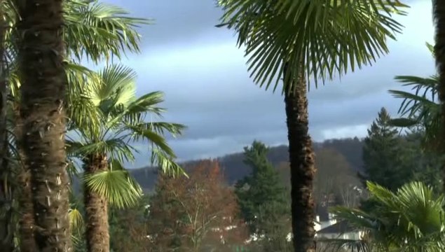 LES W-D.D. MICHOU NEWS - 14 JANVIER 2014 - STADE NAUTIQUE TRAVAUX DE DEBLAIEMENT TOUS AZIMUTS - POSE VITRAGES..