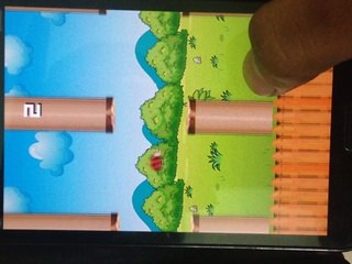 Happy Lady Bird -Andriod version