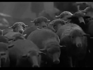 "Hounded" by Spiritual Fraud (Music Video)