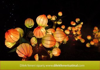 Dilek Balonu Hakkında