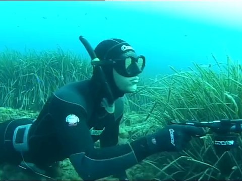 Chasse sous-marine par petits fonds