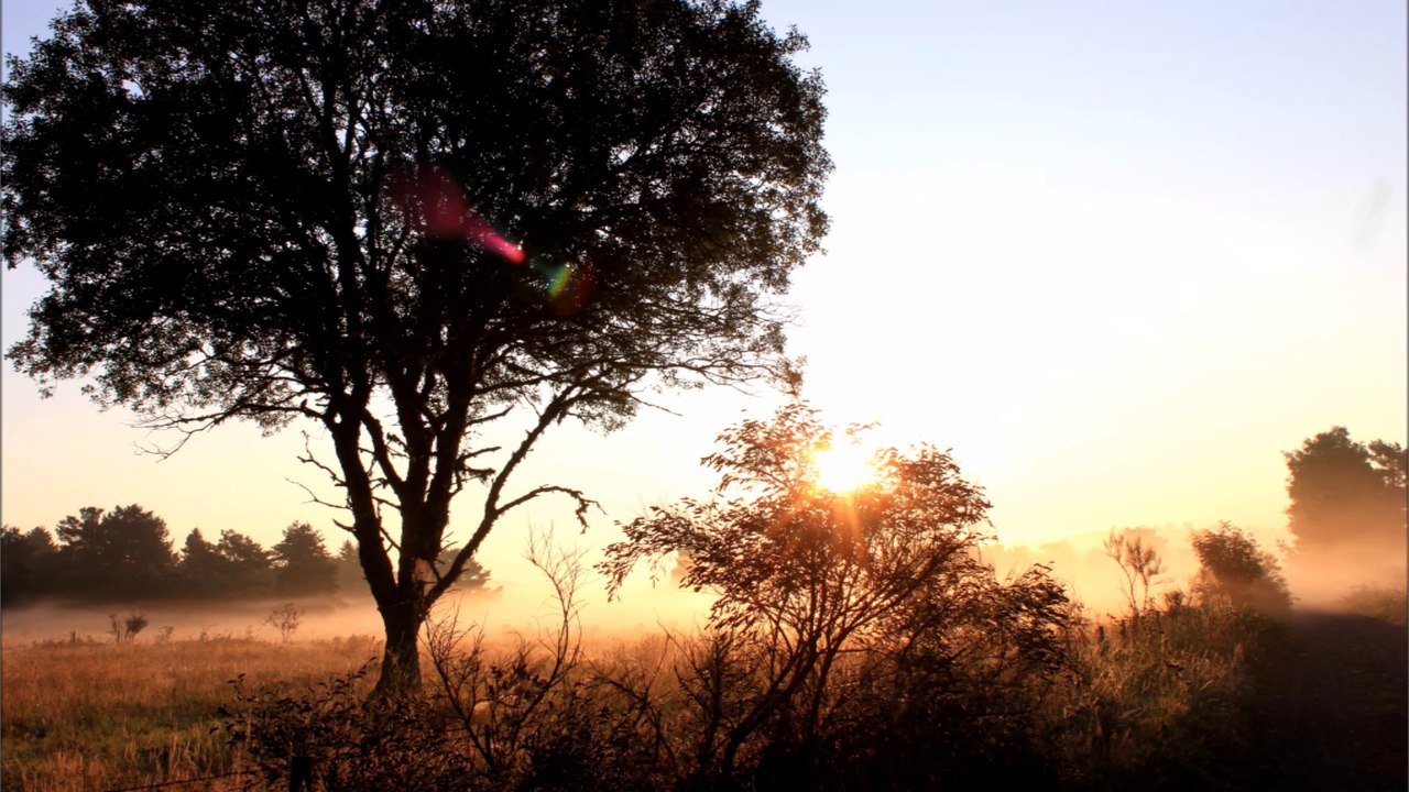 BRUME & SOLEIL AOUT 2013