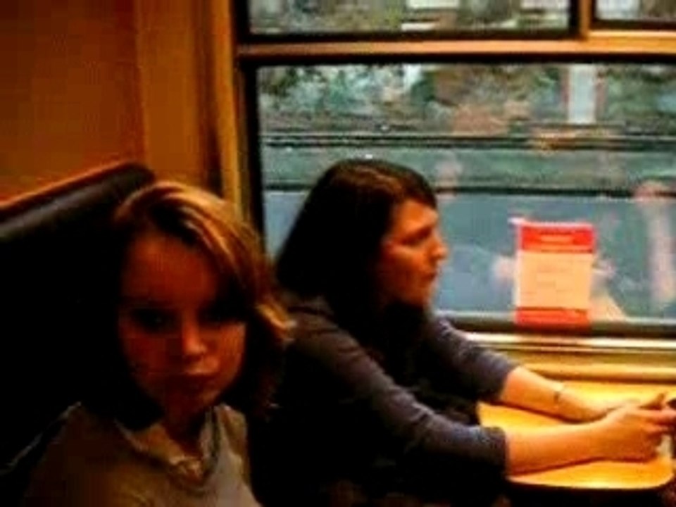 dans le train