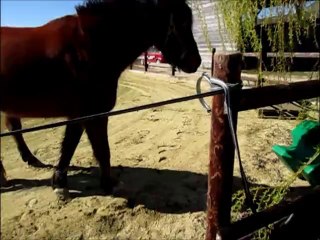 Vivi communique  mars 2014