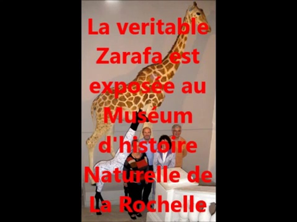 Peignez la girafe
