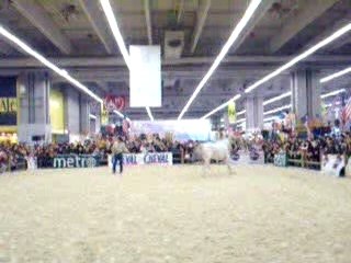 démonstration éthologique