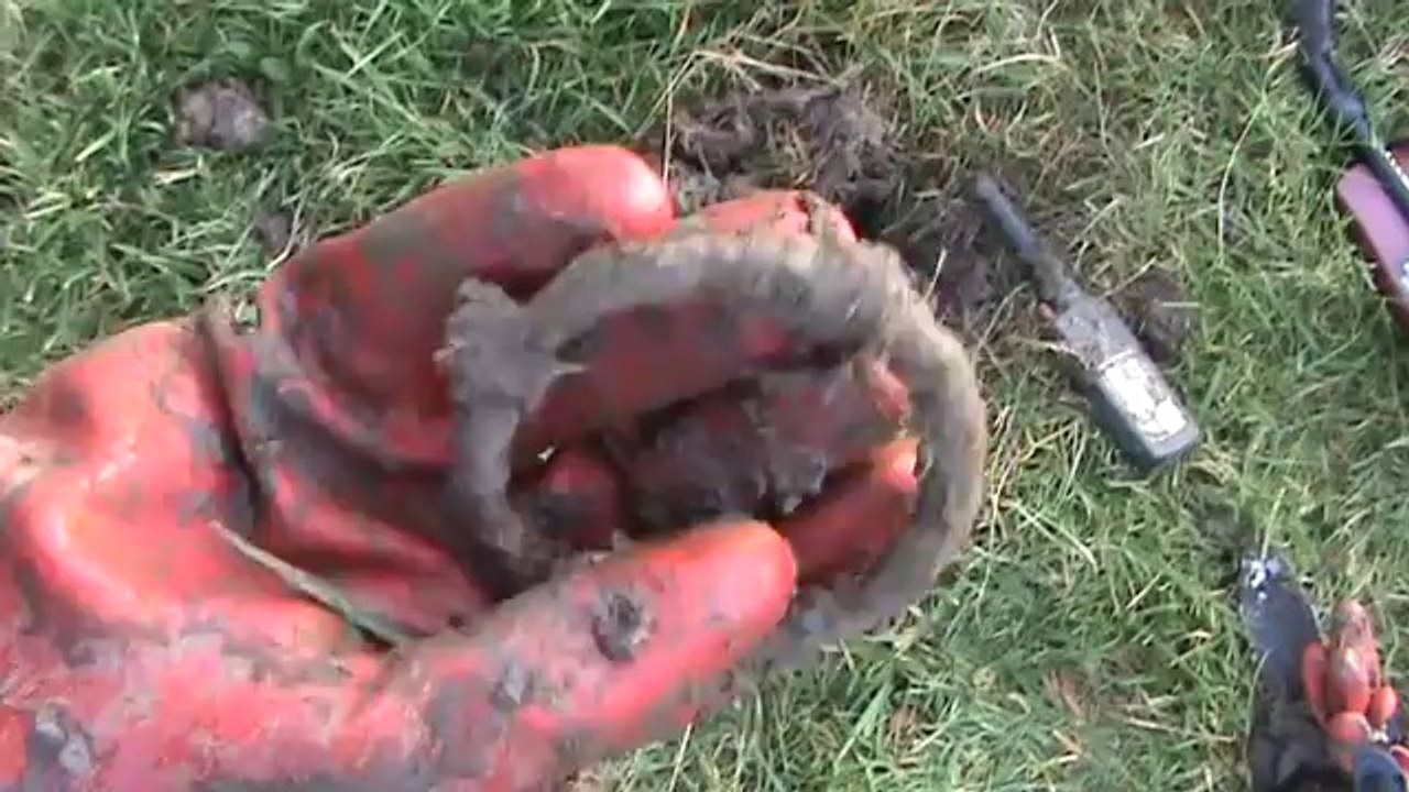 Digger part 6 (Video, search with the metal detector)