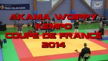 coupe de France KEMPO2014 - final juniors -67kg