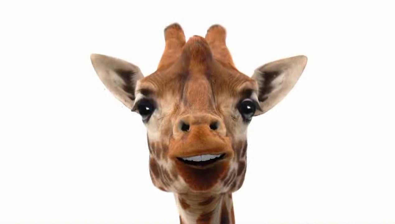 Belle belle étoile du soir