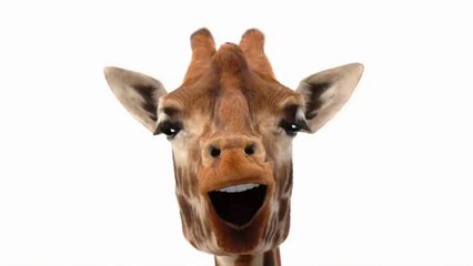 A cheval sur mon bidet