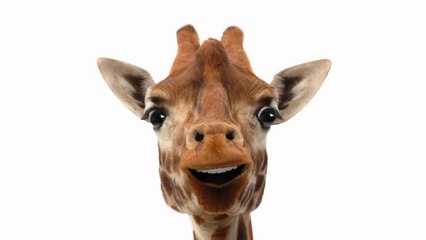 A la pêche aux moules