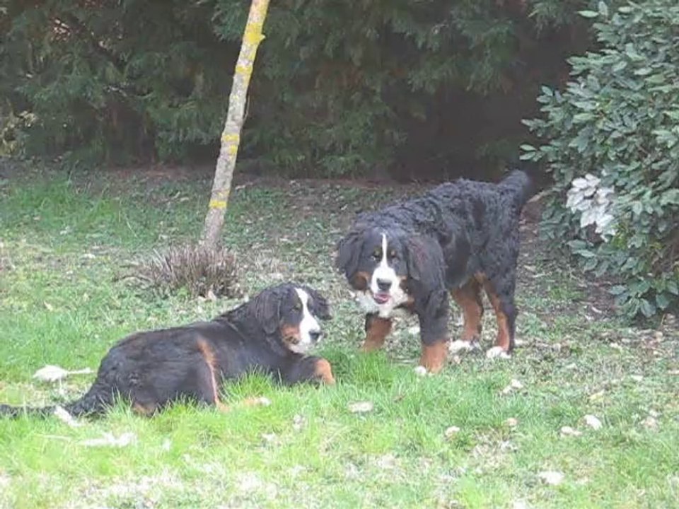 Fanny et I'Schaïni