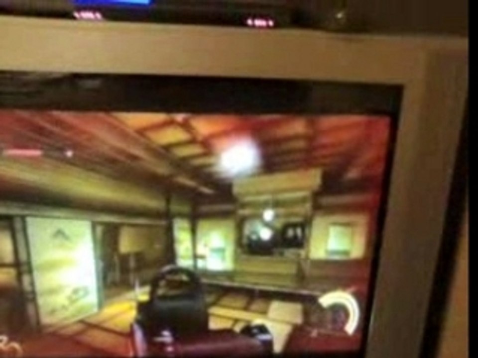 Nintendo Wii red steel bug 2