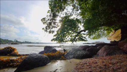 Hazrat Umar Ki Dua by Sheikh Zulfiqar Ahmed Naqshbandi