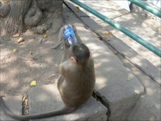 Music lesson prank call - YouTube